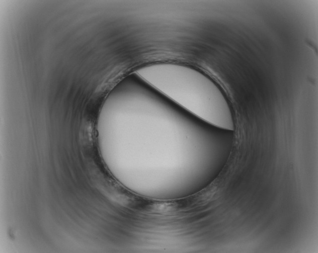 X0000099950117200805231011