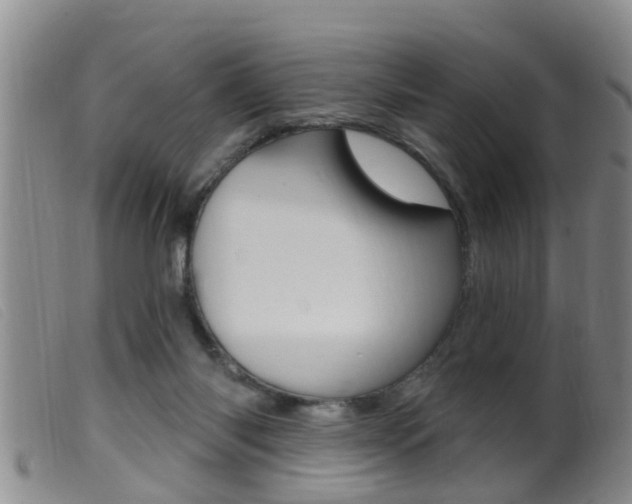 X0000099950118200805231011