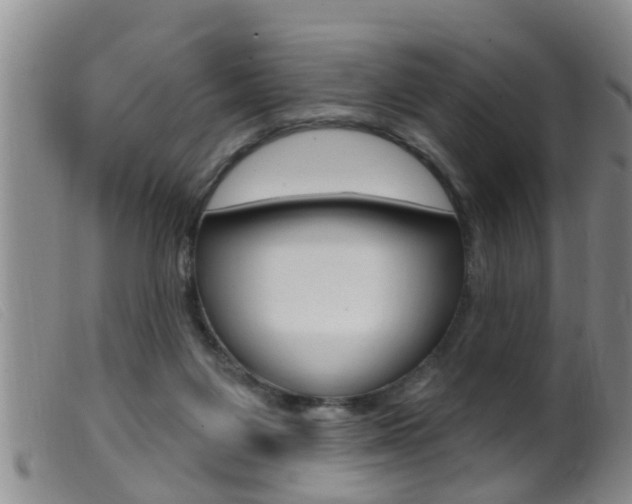 X0000099950119200805231011