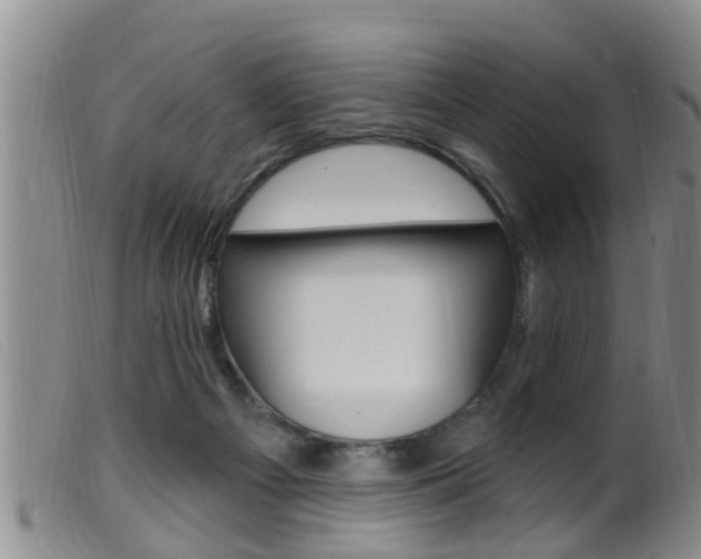 X0000099950121200805231011