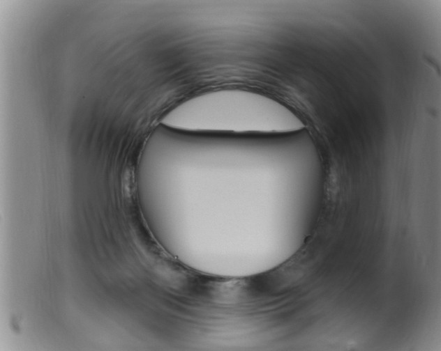 X0000099950122200805231011