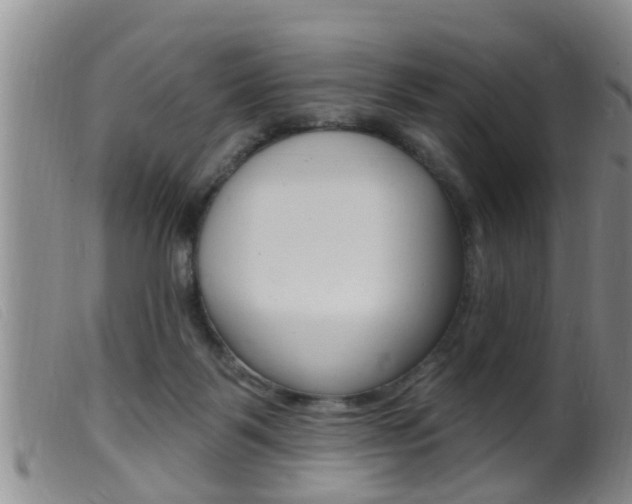 X0000099950123200805231011