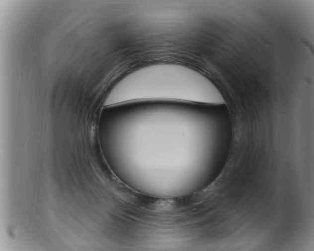 X0000099950124200805231011