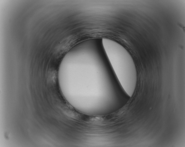 X0000099950125200805231011