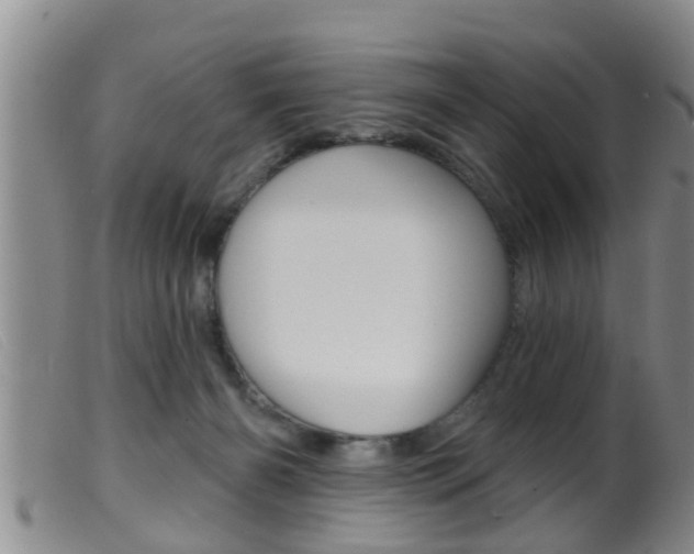 X0000099950126200805231011