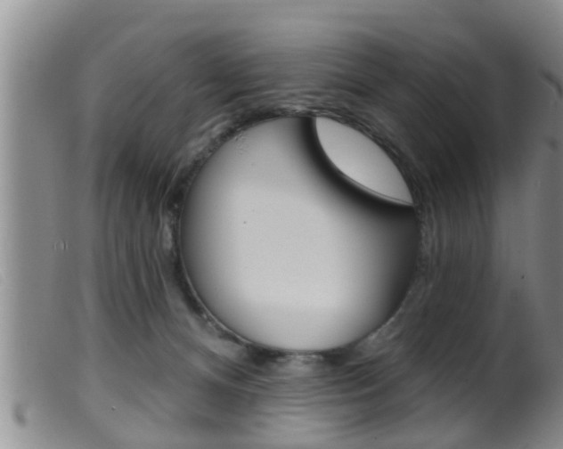X0000099950128200805231011