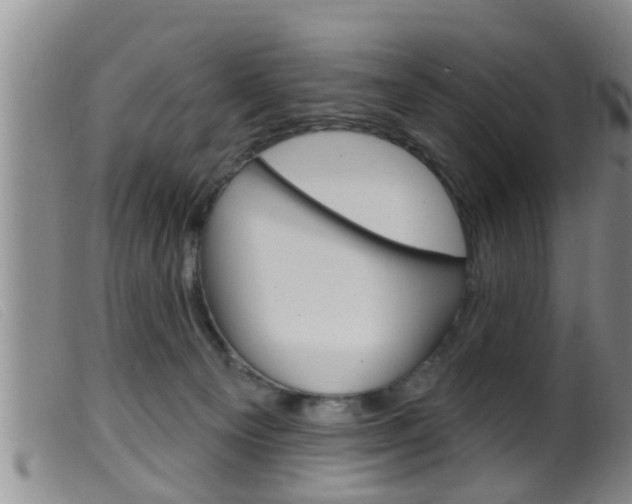 X0000099950129200805231011