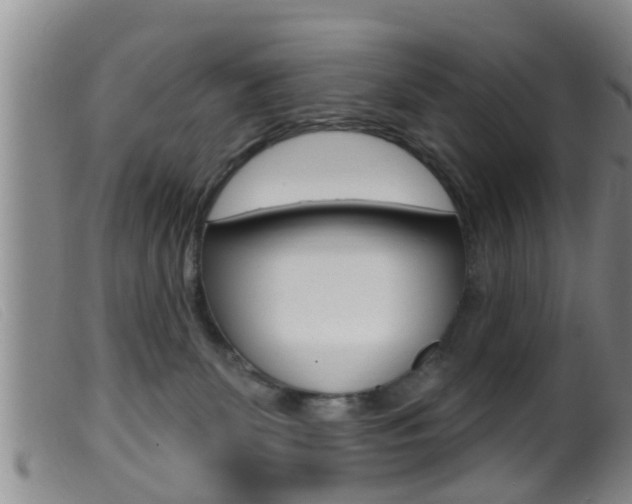 X0000099950131200805231011