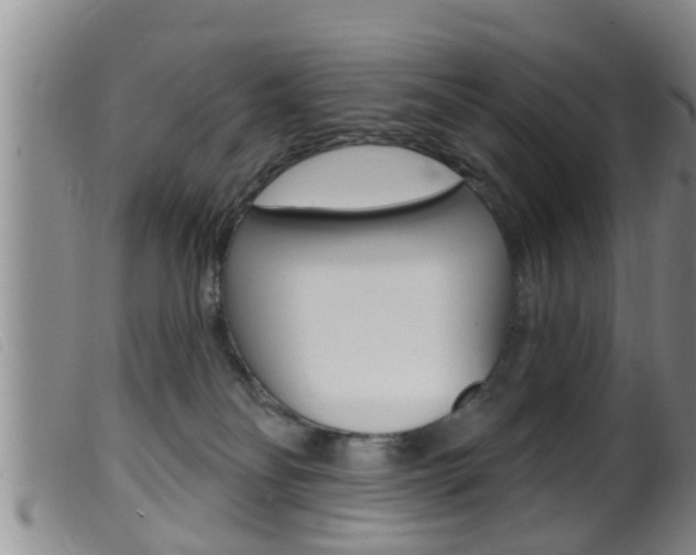 X0000099950134200805231011