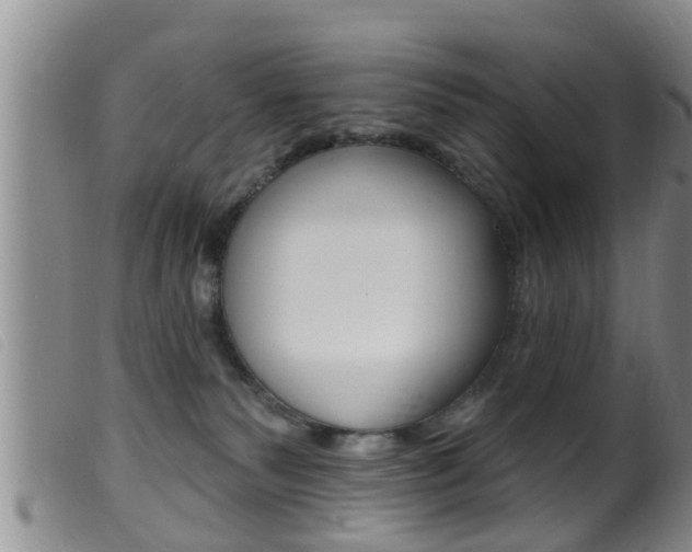 X0000099950135200805231011