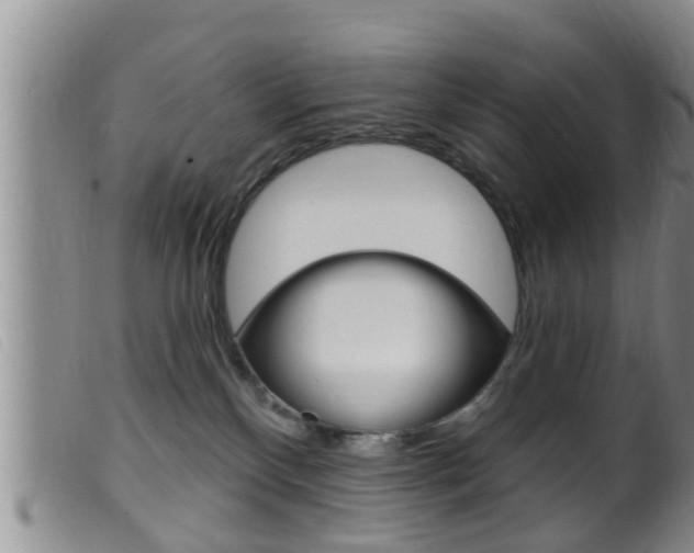 X0000099950136200805231011