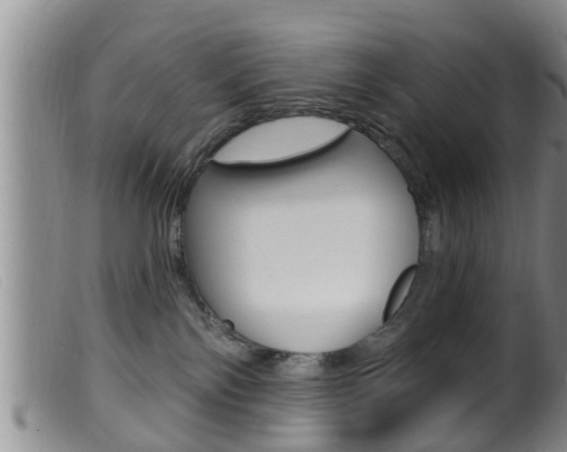 X0000099950138200805231011