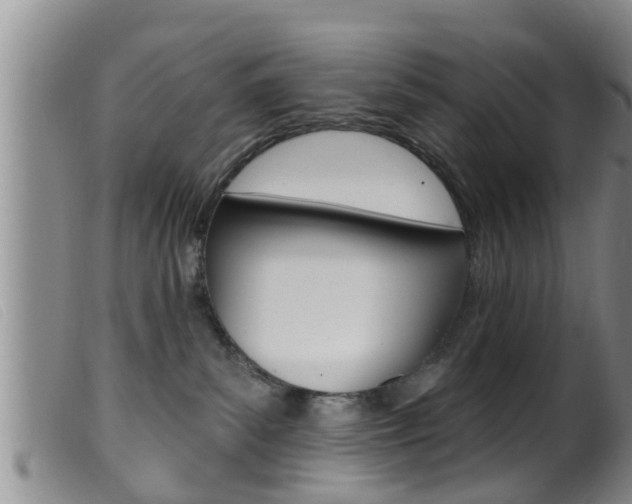 X0000099950139200805231011