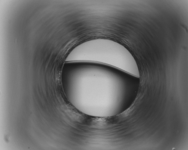 X0000099950140200805231011