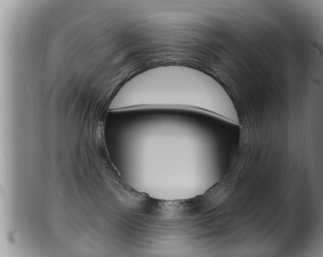 X0000099950141200805231011