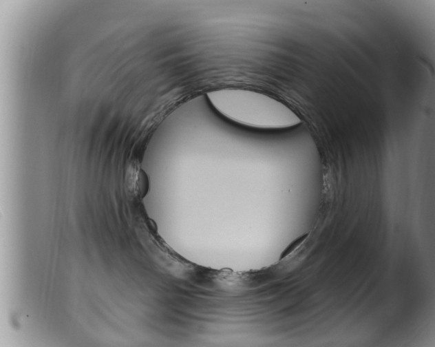 X0000099950142200805231011