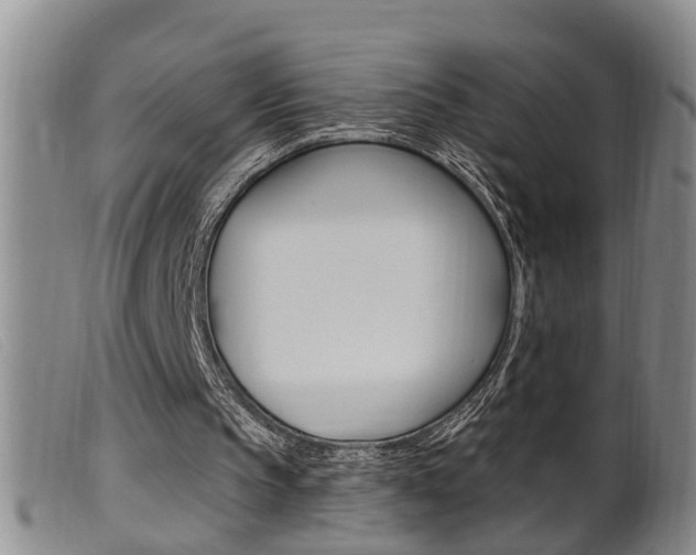 X0000099950145200805231010