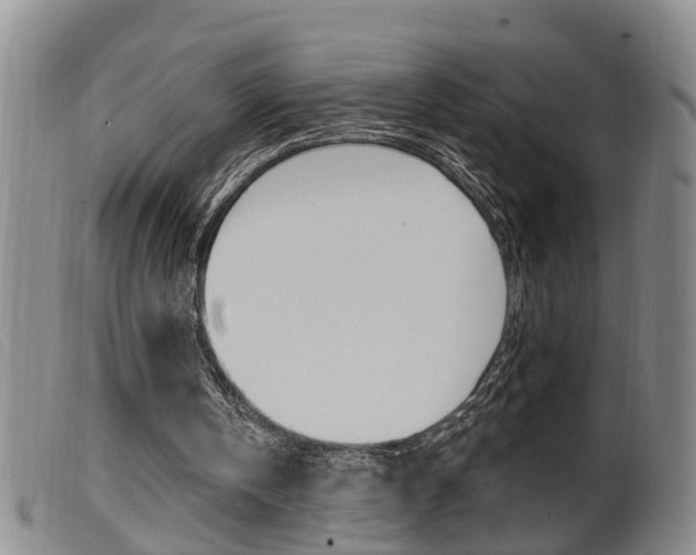 X0000099950146200805231010