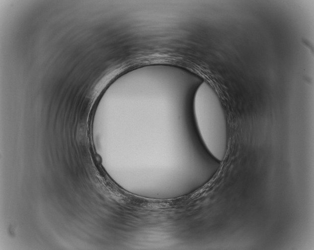 X0000099950147200805231010