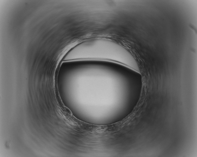 X0000099950148200805231010