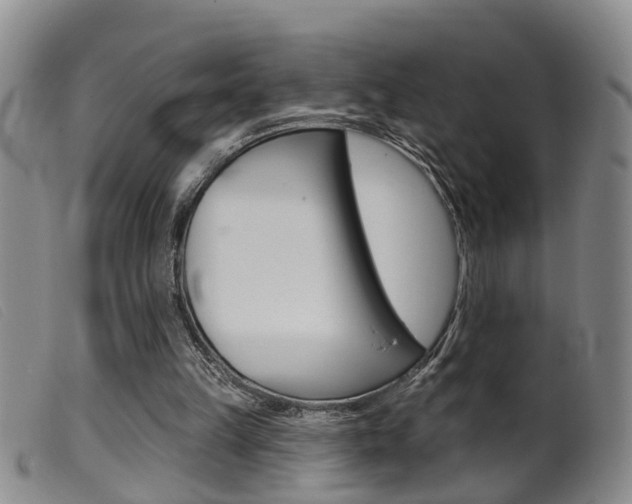 X0000099950149200805231010
