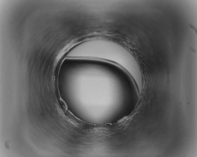 X0000099950150200805231010