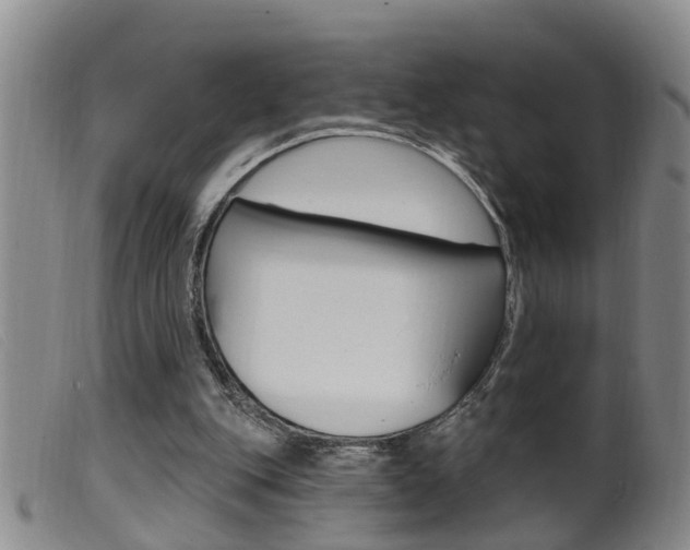 X0000099950151200805231010