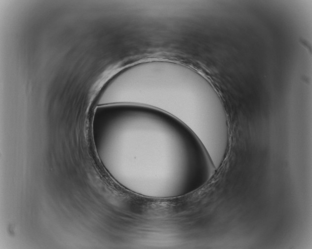 X0000099950152200805231010