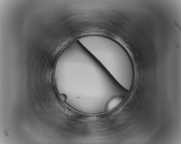 X0000099950153200805231010