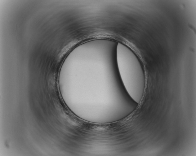 X0000099950155200805231010