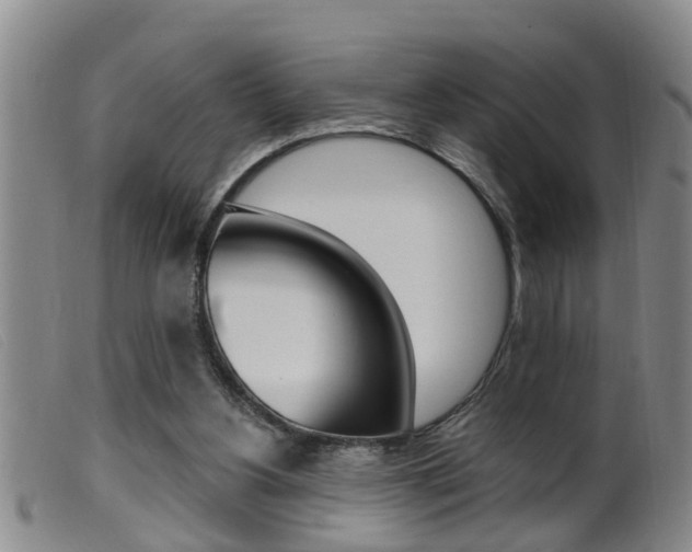 X0000099950156200805231010