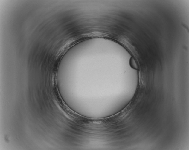 X0000099950157200805231010
