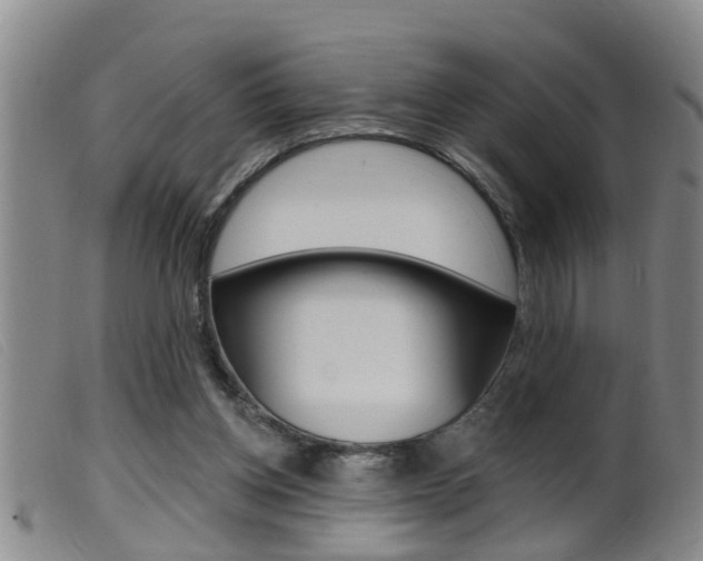 X0000099950158200805231010