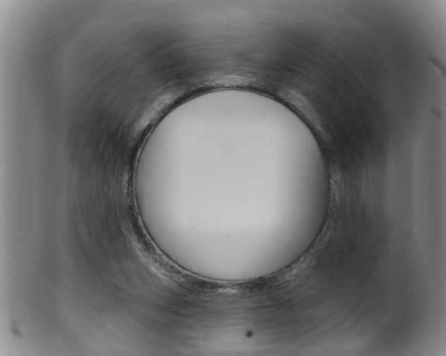 X0000099950159200805231010