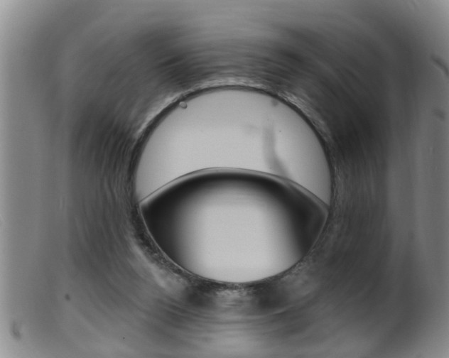 X0000099950160200805231010