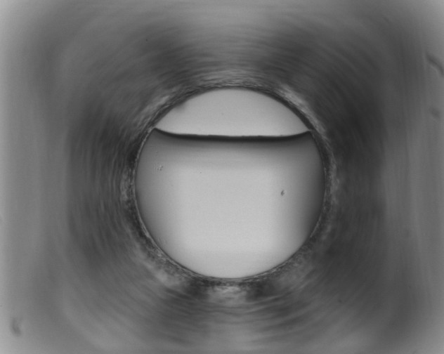X0000099950161200805231010