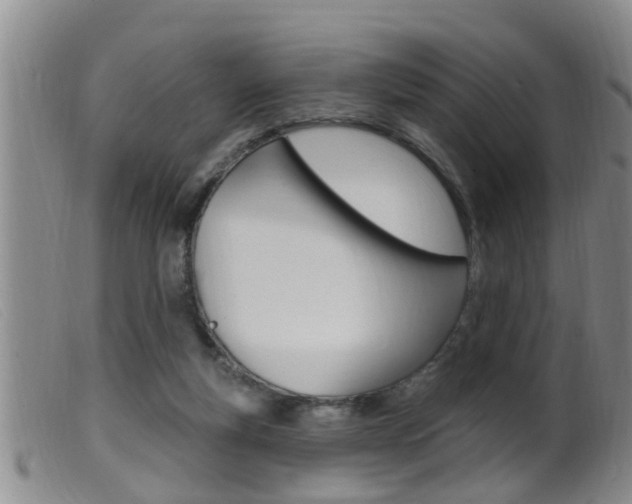 X0000099950163200805231010