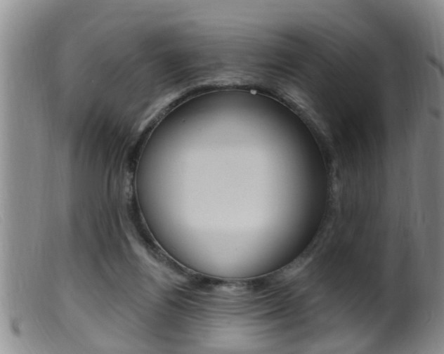X0000099950164200805231010