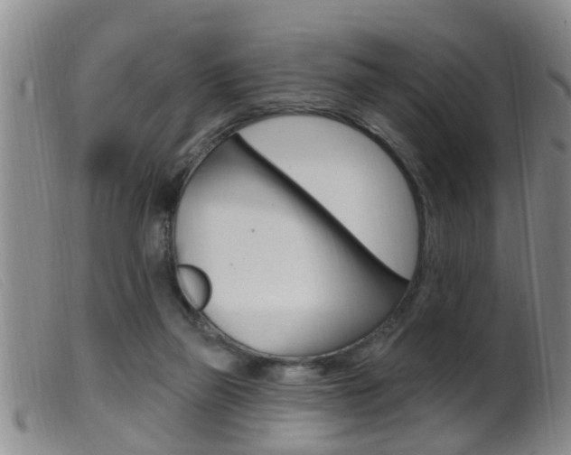 X0000099950165200805231010