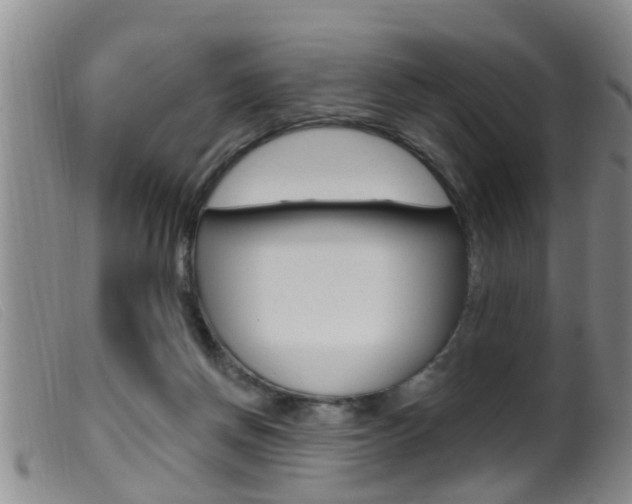 X0000099950166200805231010