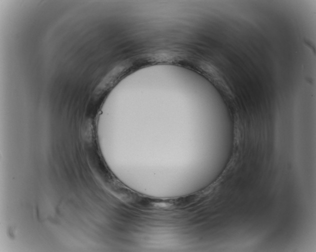 X0000099950167200805231010
