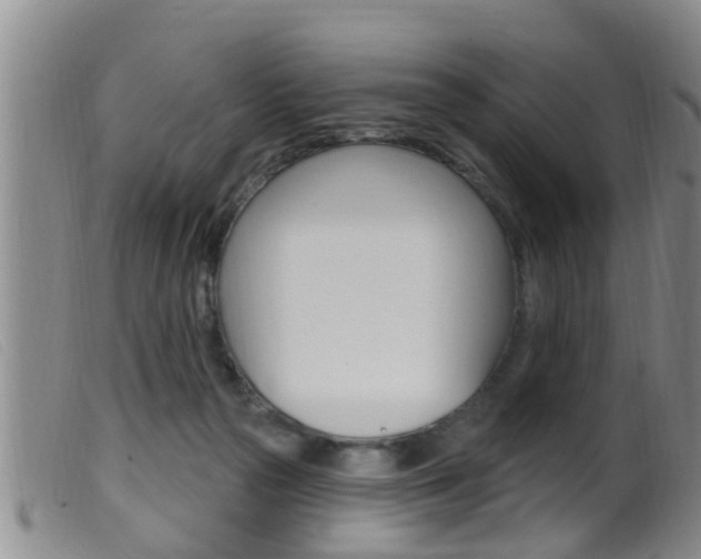 X0000099950169200805231010