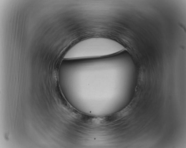 X0000099950172200805231010