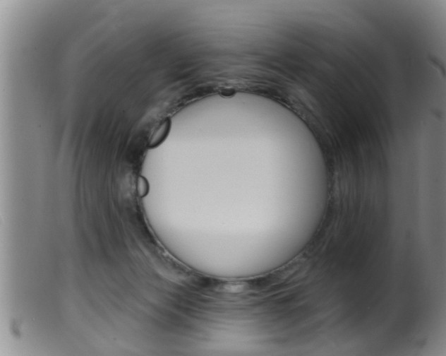 X0000099950173200805231011