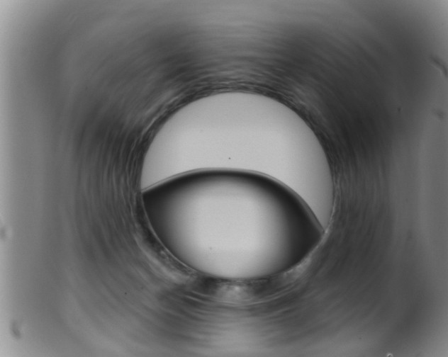 X0000099950174200805231011