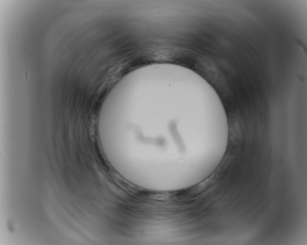 X0000099950175200805231011