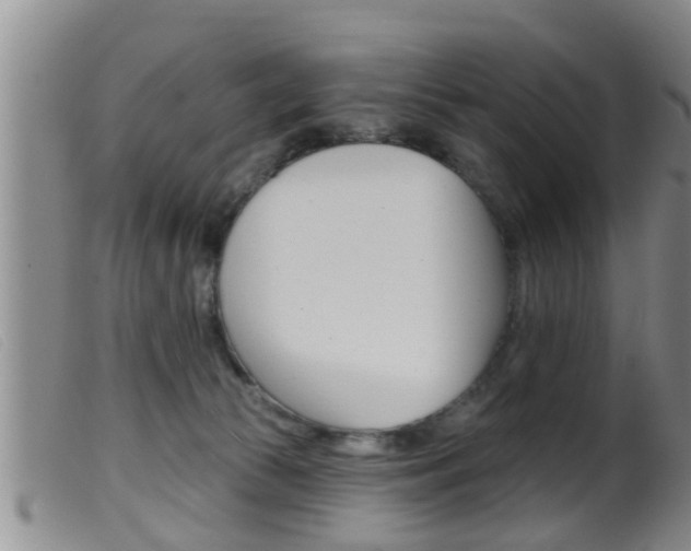 X0000099950177200805231011