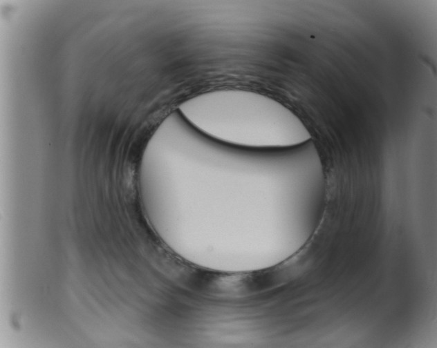 X0000099950178200805231011