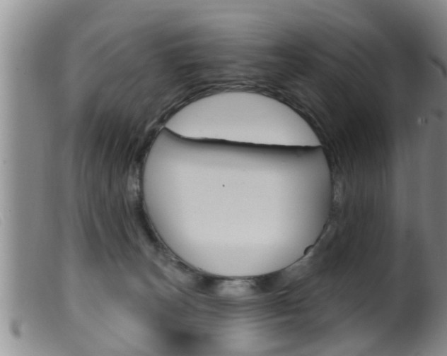 X0000099950179200805231011