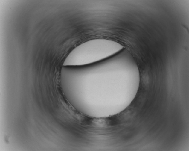 X0000099950181200805231011